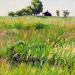 nielsen_summer