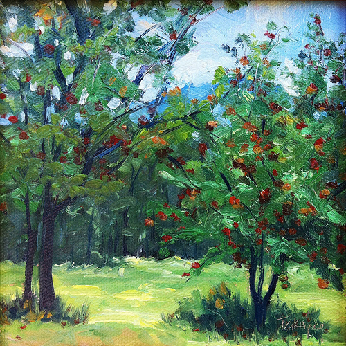 Apple Trees