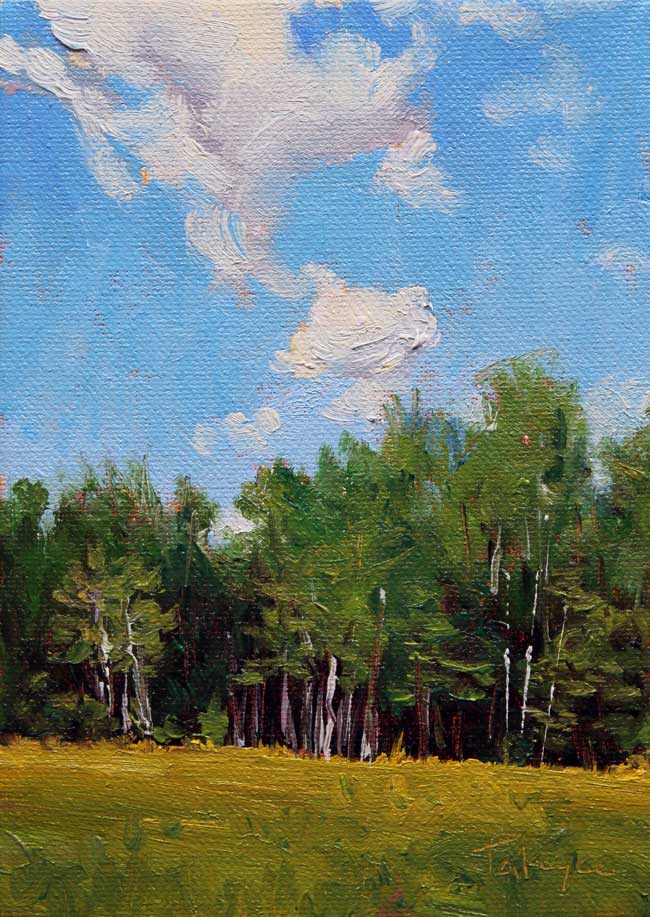 summer_birch_stand_takeyce