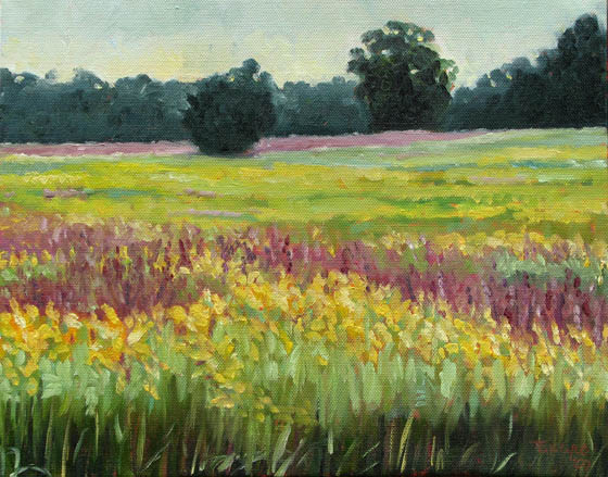 Goldenrod and Loosetrife